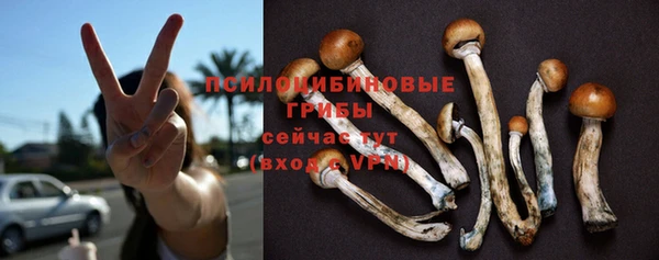 трава Лабытнанги