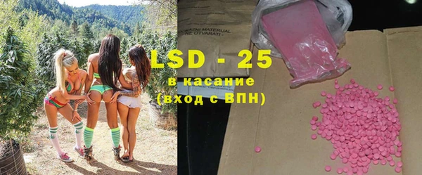 ГАЛЛЮЦИНОГЕННЫЕ ГРИБЫ Ладушкин