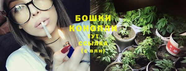 мет Лагань