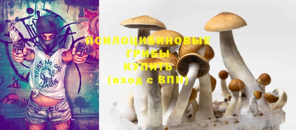 мет Лагань