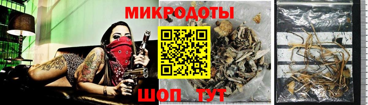 Галлюциногенные грибы GOLDEN TEACHER Коломна