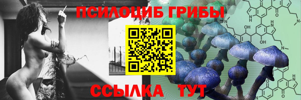 купить закладку  Псилоцибиновые грибы GOLDEN TEACHER  Галлюциногенные грибы мицелий  Вход с VPN  Коломна 